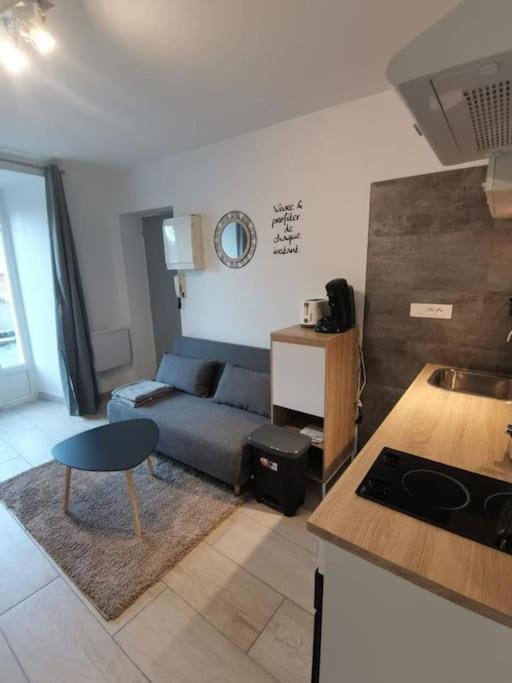 Charmant Appartement Au Calme Saint-Georges-de-Luzencon Екстер'єр фото
