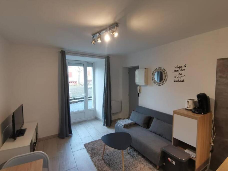Charmant Appartement Au Calme Saint-Georges-de-Luzencon Екстер'єр фото